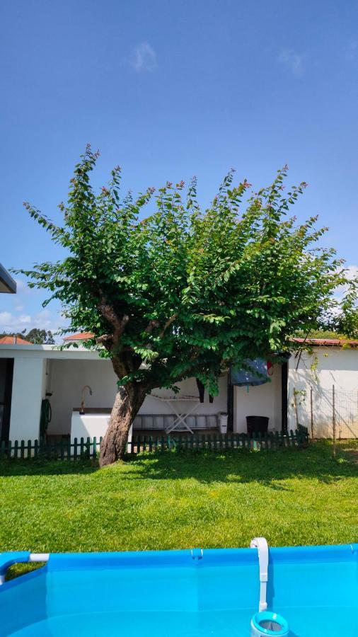 House With Pool And Garden In Esmoriz Near Porto Villa Exterior foto